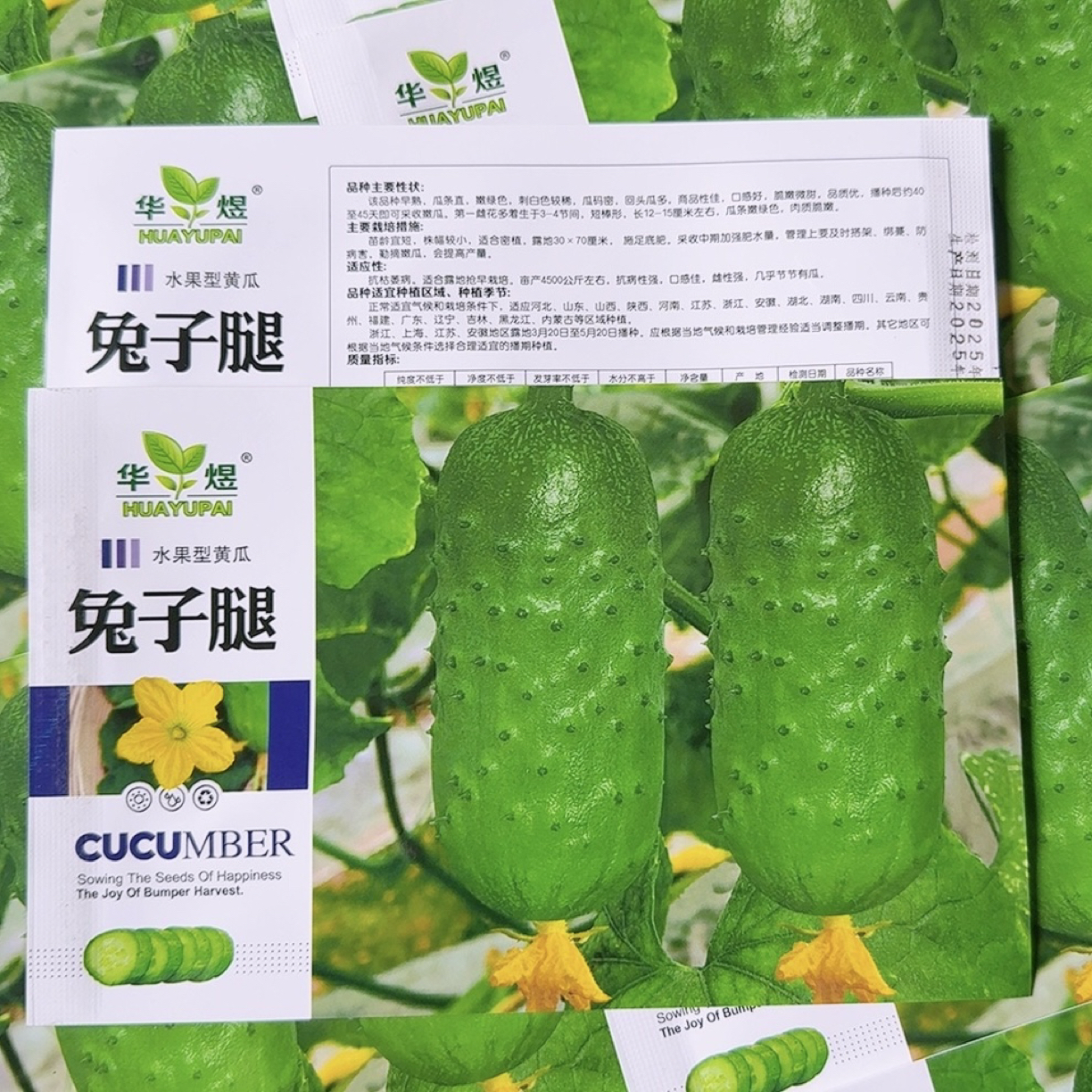 兔子腿 水果黄瓜种子 50粒