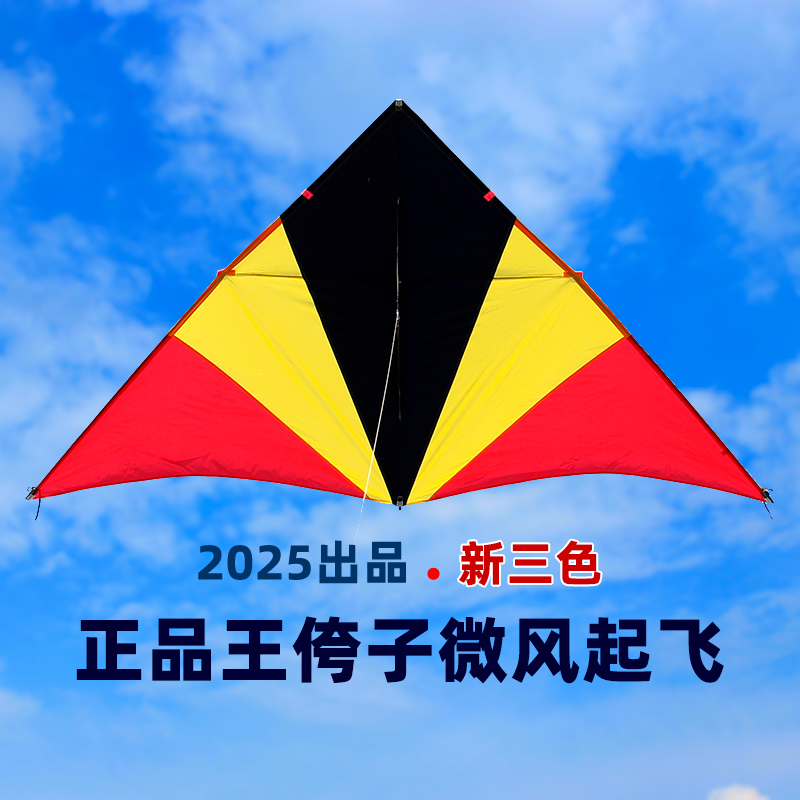 2025新款王侉子风筝三角大型成人专用微风易风高档544伞布风筝