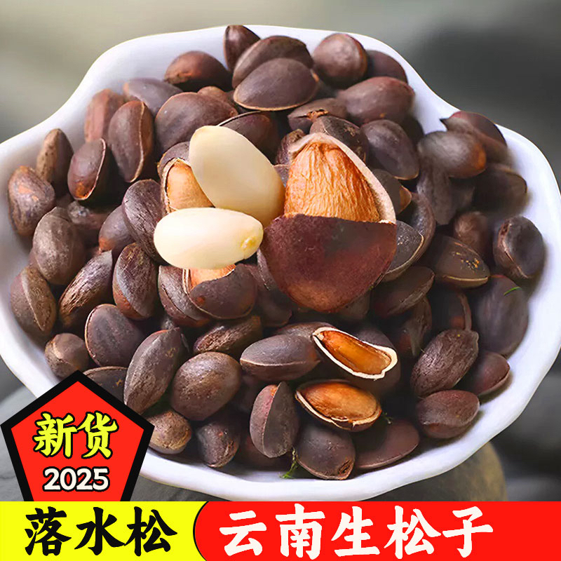 【2025云南生松子】新鲜湿松子落水松散装大颗粒非东北松籽仁饱满