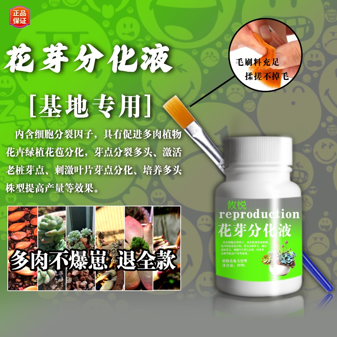【不爆崽崽退全款】多肉绿植鲜花专用花芽分化液基地款