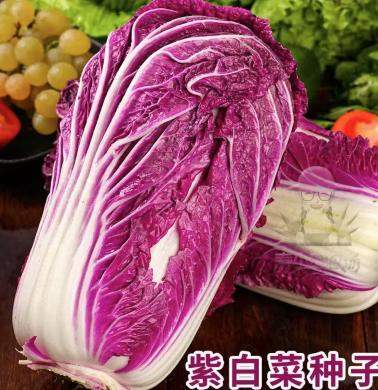 【紫白菜种子】家庭种植阳台花盆小院四季种植