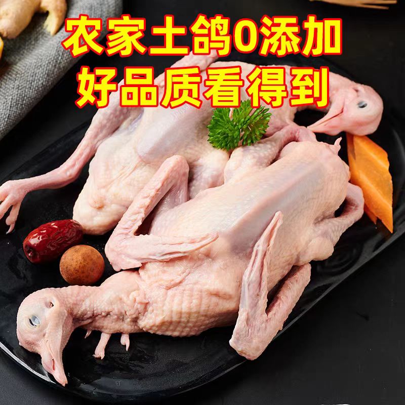 原粮王鸽 新鲜现杀煲汤老鸽子土鸽子 纯杂粮喂养现杀2只600克