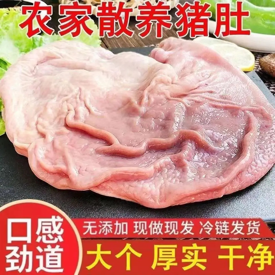 新鲜大猪肚【散养速冻整只特厚猪肚养胃营养无油猪肚】