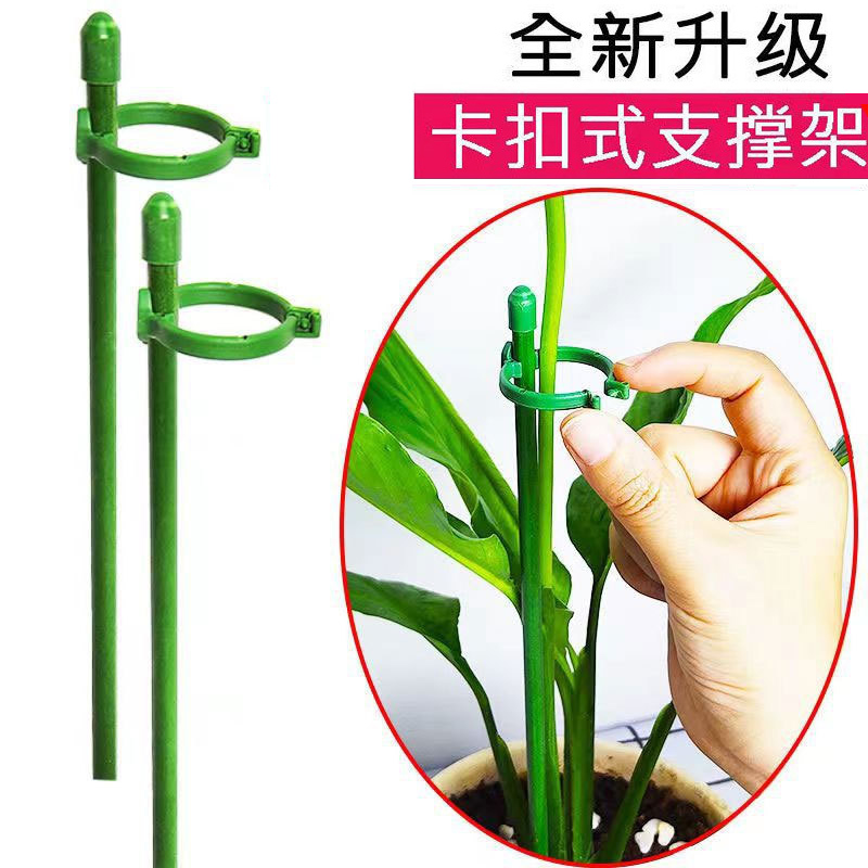 【植物支撑杆】兰花护叶枝龟背竹海芋专用园艺扶持架花卉防倒固定器