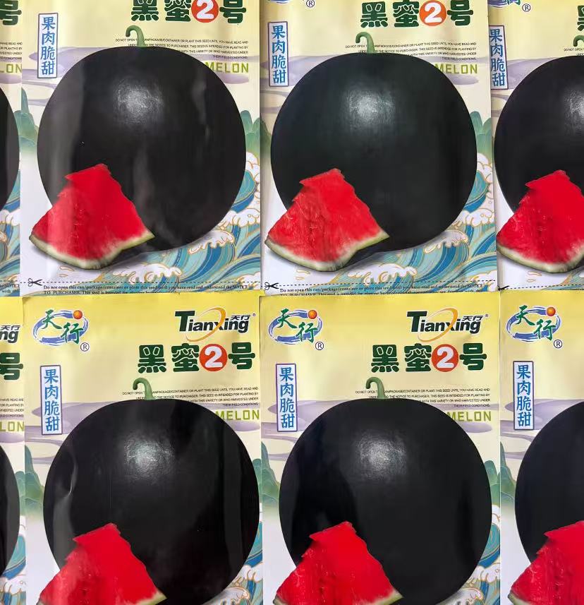 【黑蜜2号西瓜种子】四季种植盆栽地栽阳台小院种植