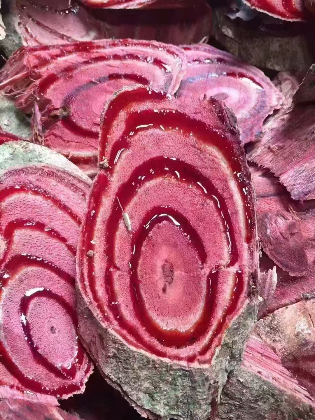 野生新鲜自晒鸡血藤老藤梗部干片