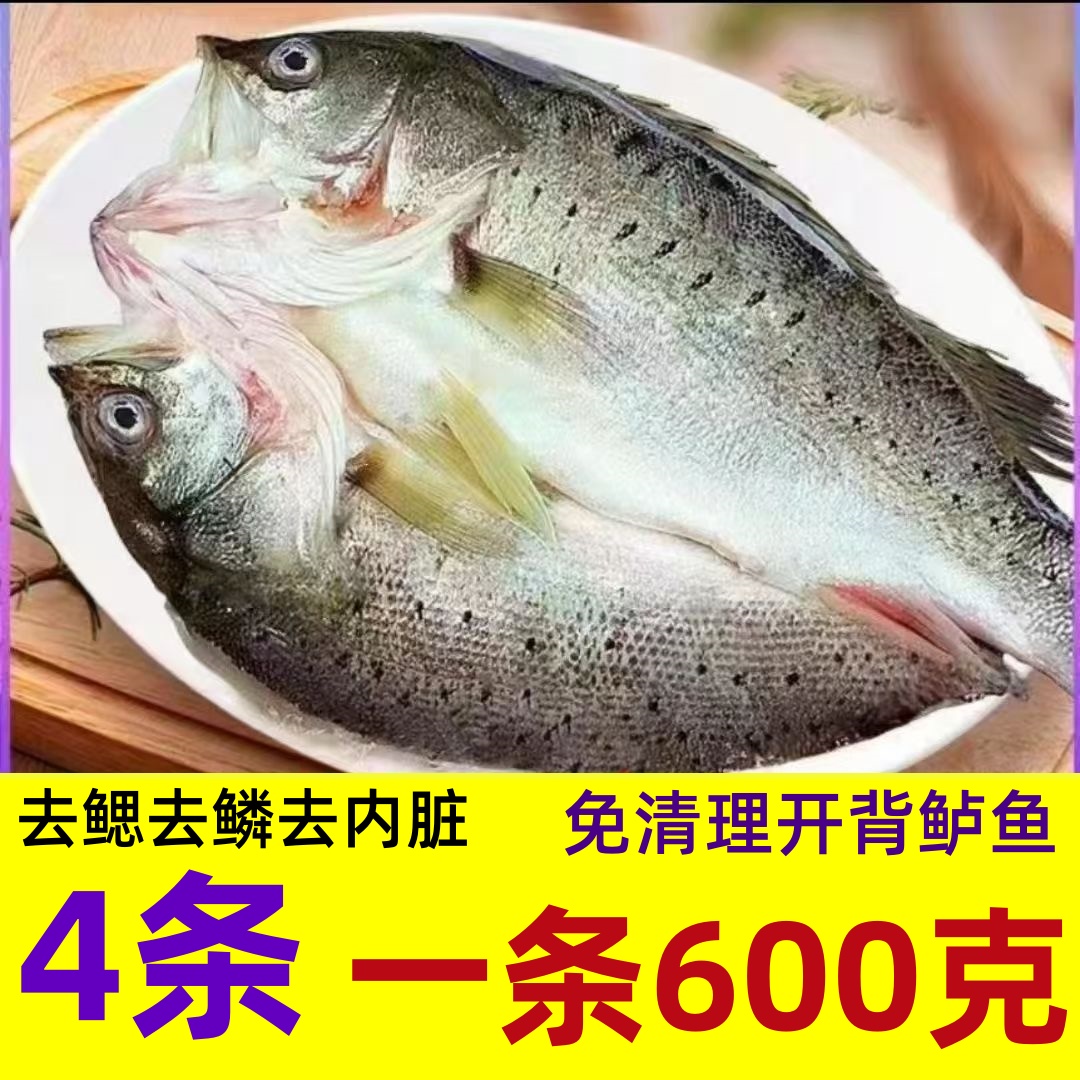 （600g开背鲈鱼4条）新鲜活冻三去开背鲈鱼去腮去鳞去内脏腌制冷冻