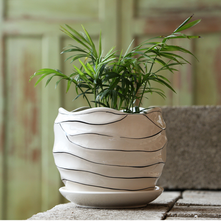 梦泡|陶瓷花盆带托盘创意多肉花盆特价简约肉肉花盆精致捡漏家用