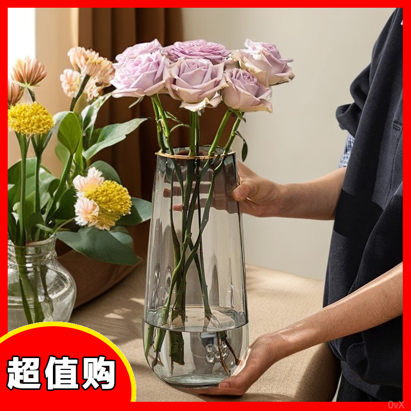 厂家描金花瓶透明玻璃客厅居家装饰摆件北欧水养插花创意简约花器