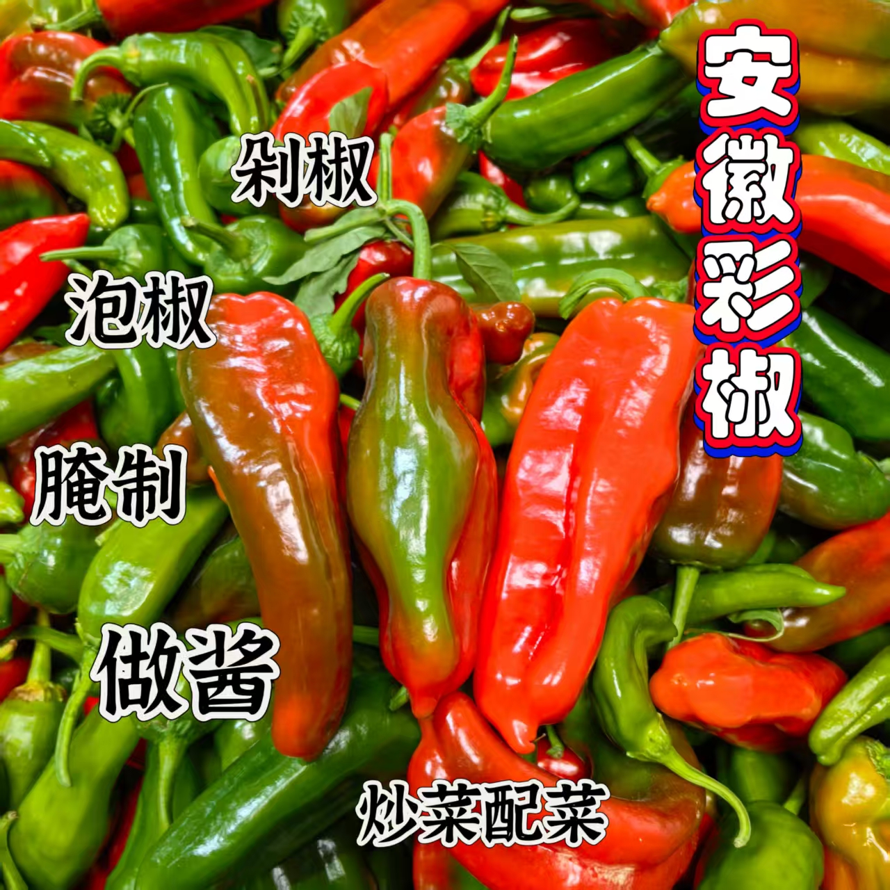 【彩花椒】芜湖农家种植青紫花色椒微辣彩虹椒新鲜现摘饱满汁厚