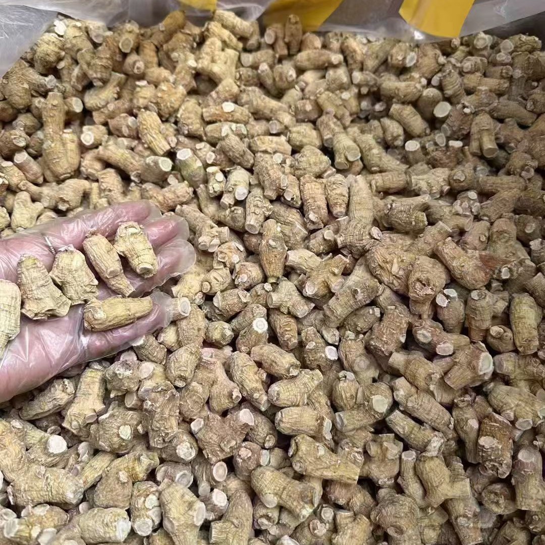 （加拿大西洋参）5克粒无熏硫无打蜡 进口西洋参 泡水打粉泡酒煲汤