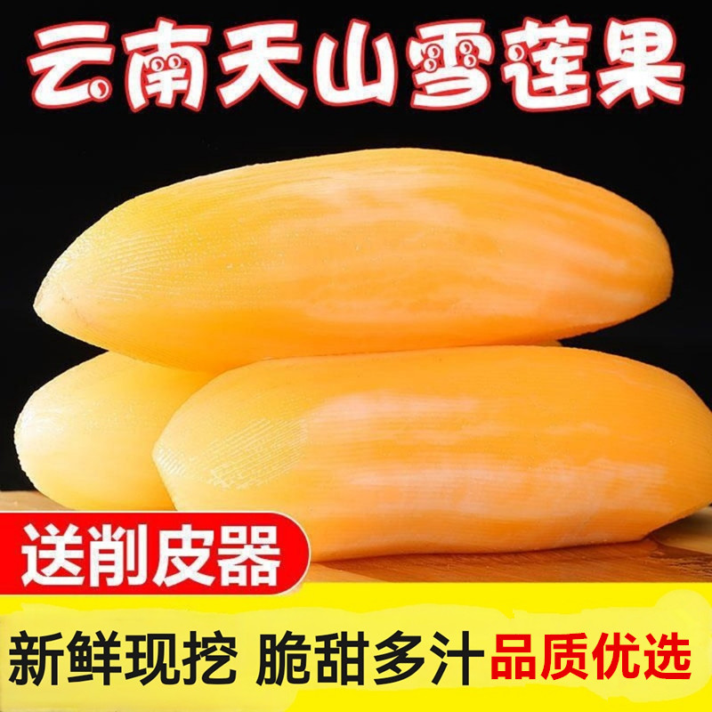 现挖】正宗云南天山雪莲果应当季新鲜水果黄肉心脆甜多汁整箱包邮