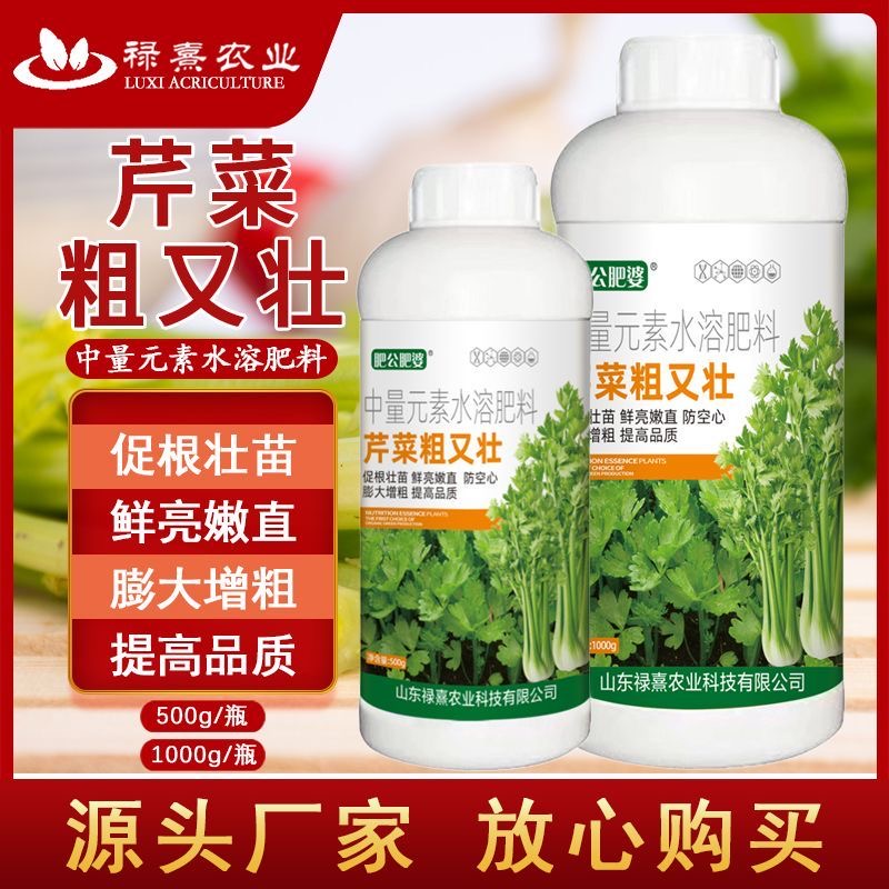 芹菜粗又壮芹菜拉长增粗嫩直预防空心高产芹菜专用中量元素水溶肥