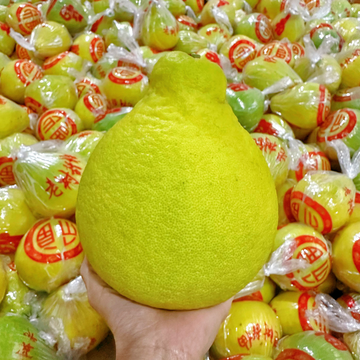 当季水果正宗广东梅州松口沙田柚产地直发纯甜无酸蛇皮袋装50斤