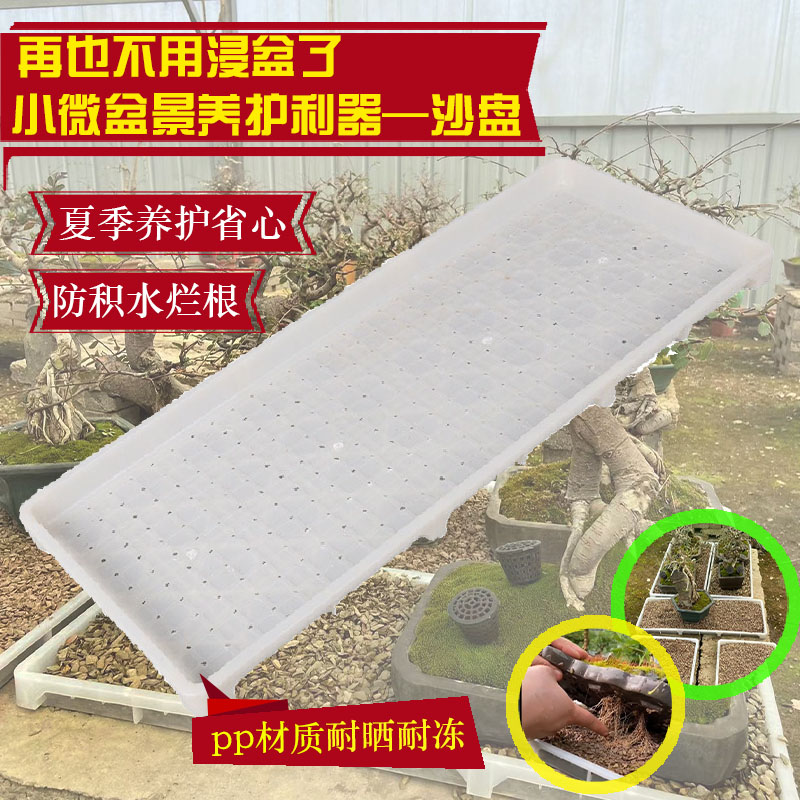 小微盆景沙盘盆栽掌盆阳台养护加密水孔透气沙盆长方形盆景沙盘