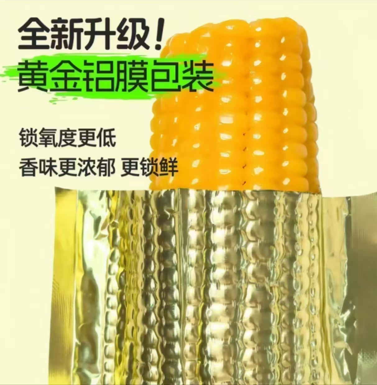 【试吃4根25年头茬】东北8月采摘黏香黄糯14根/升级金箔包装7-8斤