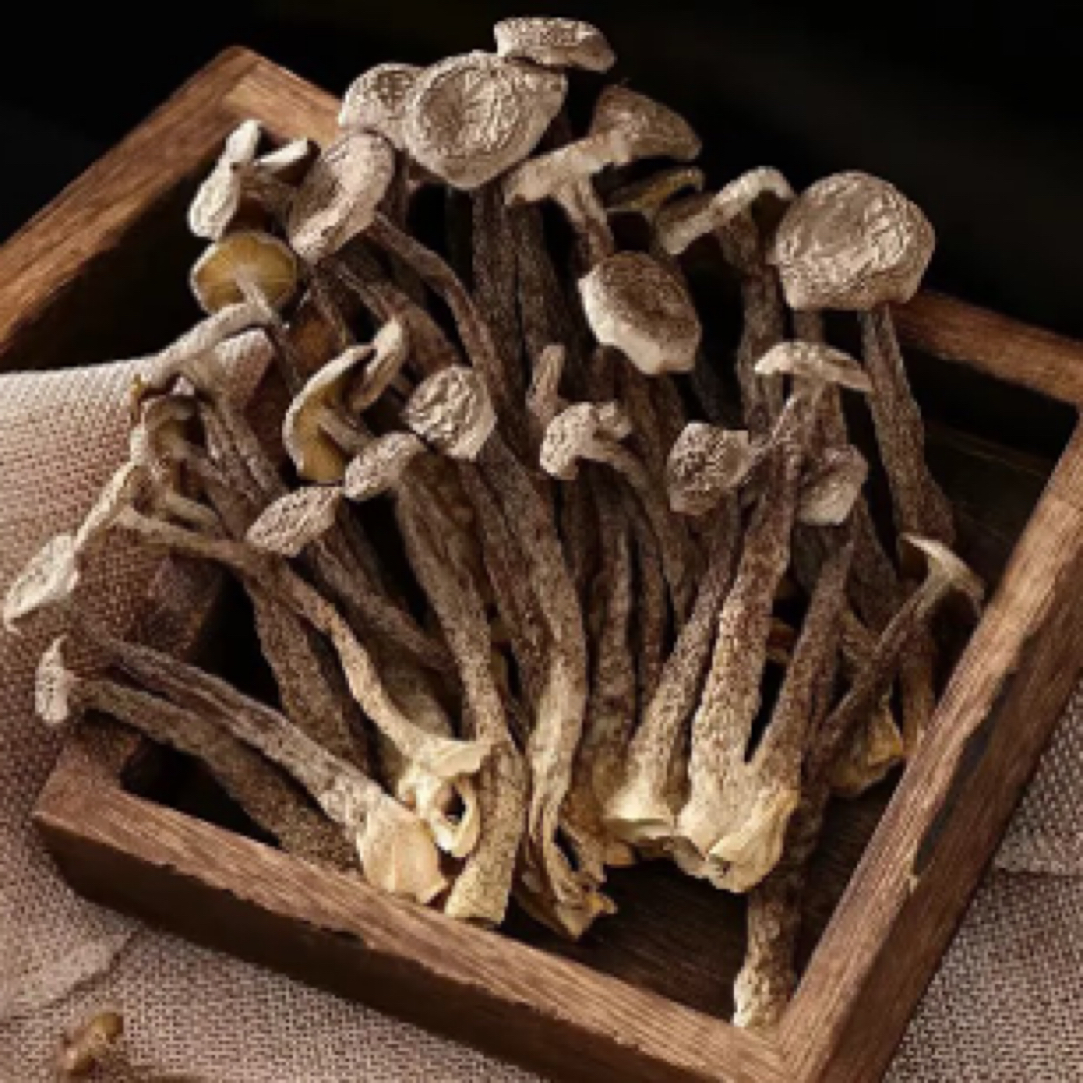 福建鹿茸菇干货食用菌无硫新货煲汤炒菜凉拌脆脆菇爽脆清甜菌菇