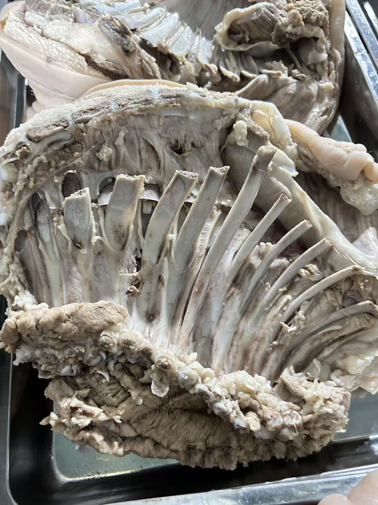 清水去骨全熟山羊肉 全羊 三斤包邮 顺丰包邮 送吃羊肉辣椒