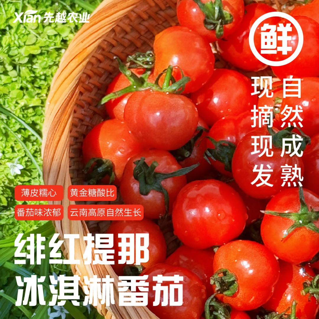 【中果】绯红提那冰淇淋番茄水果番茄薄皮种子糯心现摘现发