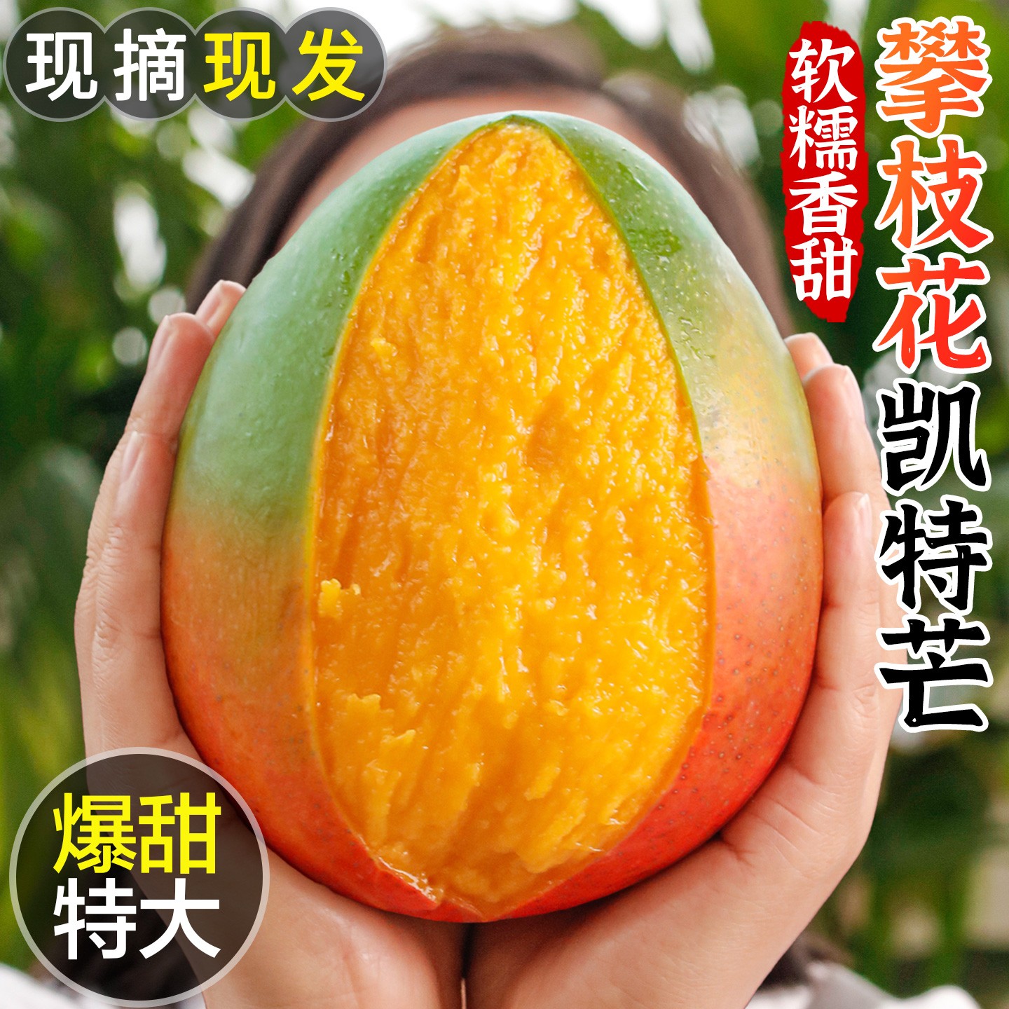 【爆甜芒果】四川攀枝花头茬凯特芒青皮大脸芒果新鲜水果现摘 A2