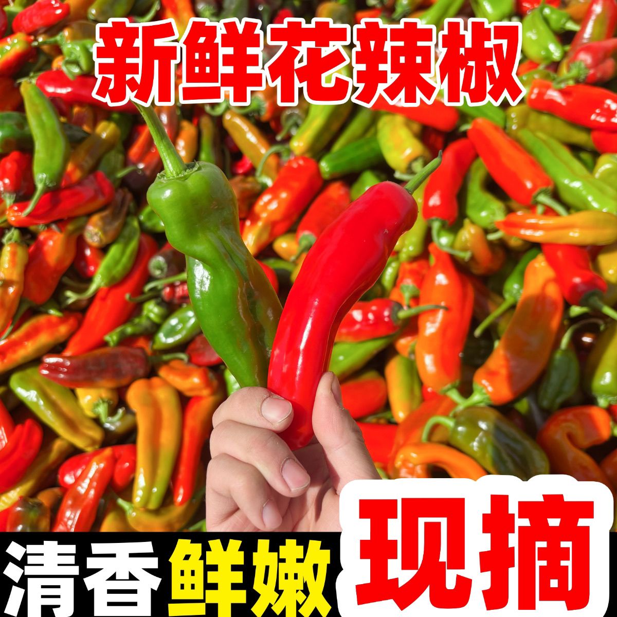 【现摘现发】原产地花辣椒红泡椒青辣椒红线椒农家自种彩椒