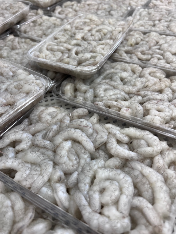 威海纯野生白银虾虾仁 原浆虾仁 无泡水无添加