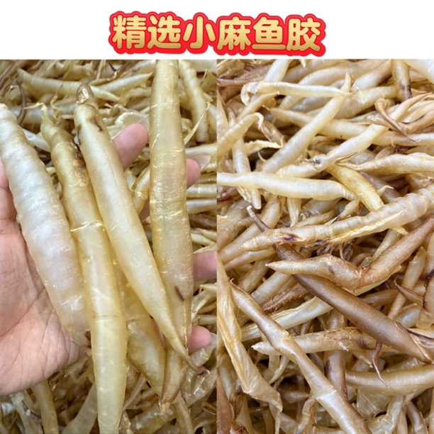 本港渔民自晒纯天然小麻鱼胶干货