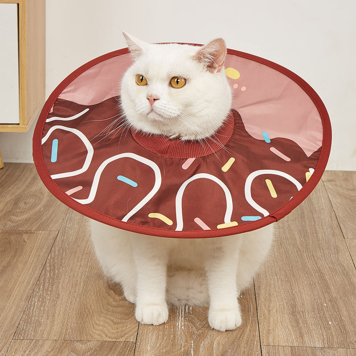 宠物伊丽莎白圈猫咪狗狗兔子项圈轻薄防舔咬围脖脖圈耻辱圈头套