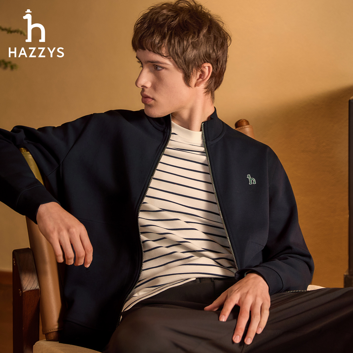 HAZZYS哈吉斯秋季时尚休闲夹克衫男士立领针织潮流运动外套男子