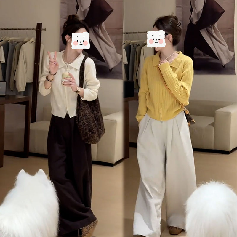2025秋季新款设计感慵懒风气质长袖开衫女搭配休闲阔腿裤两件套