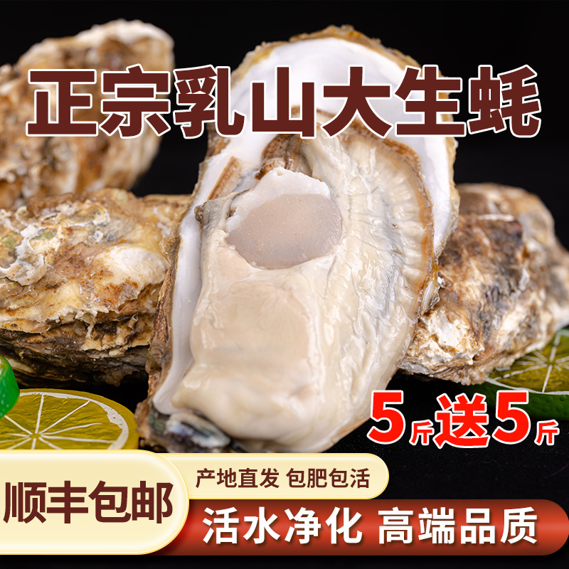 【顺丰包邮】原产地直发乳山生蚝10斤整箱可蒸煮烤壳薄肉肥包鲜包活