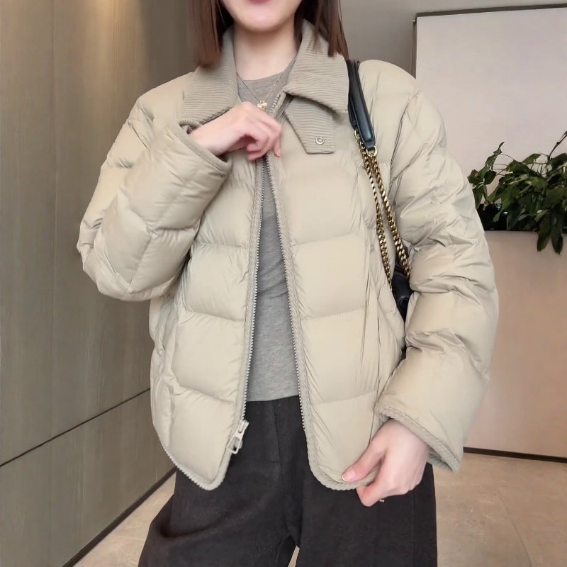 2025秋冬加厚防风拉链遮肉长袖网红棉服外套百搭宽松保暖短款棉衣