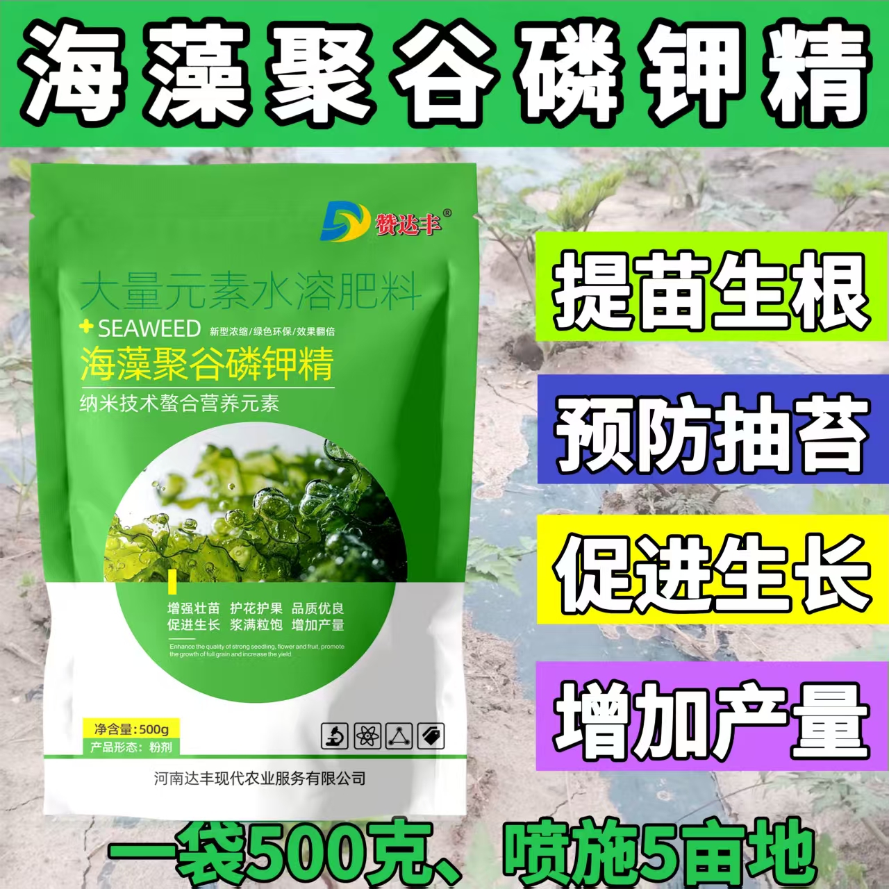 海藻聚谷磷钾精 促进生长抗旱抗寒 预防抽苔 缓解药害 增加千粒重