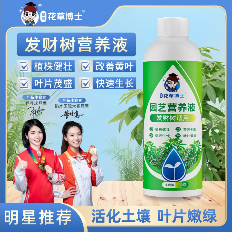 发财树适用正品植物营养液家用花卉绿植水培生长园艺植物营养肥料