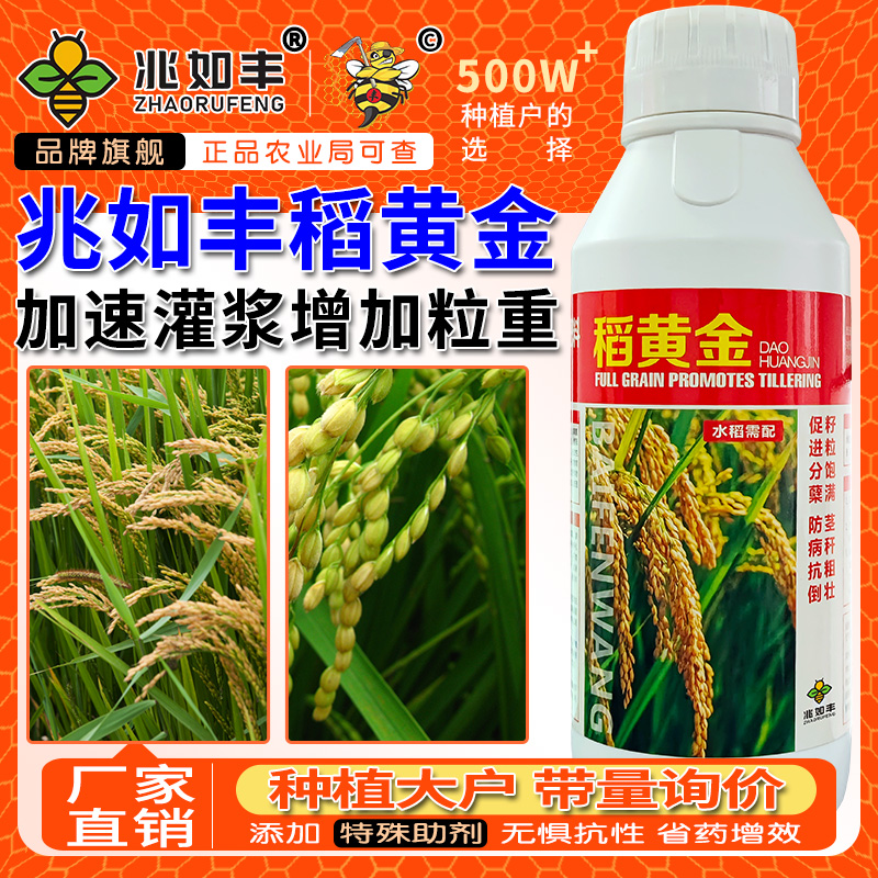 兆如丰稻黄金水稻叶面肥黄金稻粒粒饱增产肥料（农资天后张敏专属）