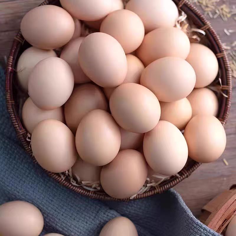 大别山林下散养新鲜健康土鸡蛋山林纯五谷喂养现捡现发