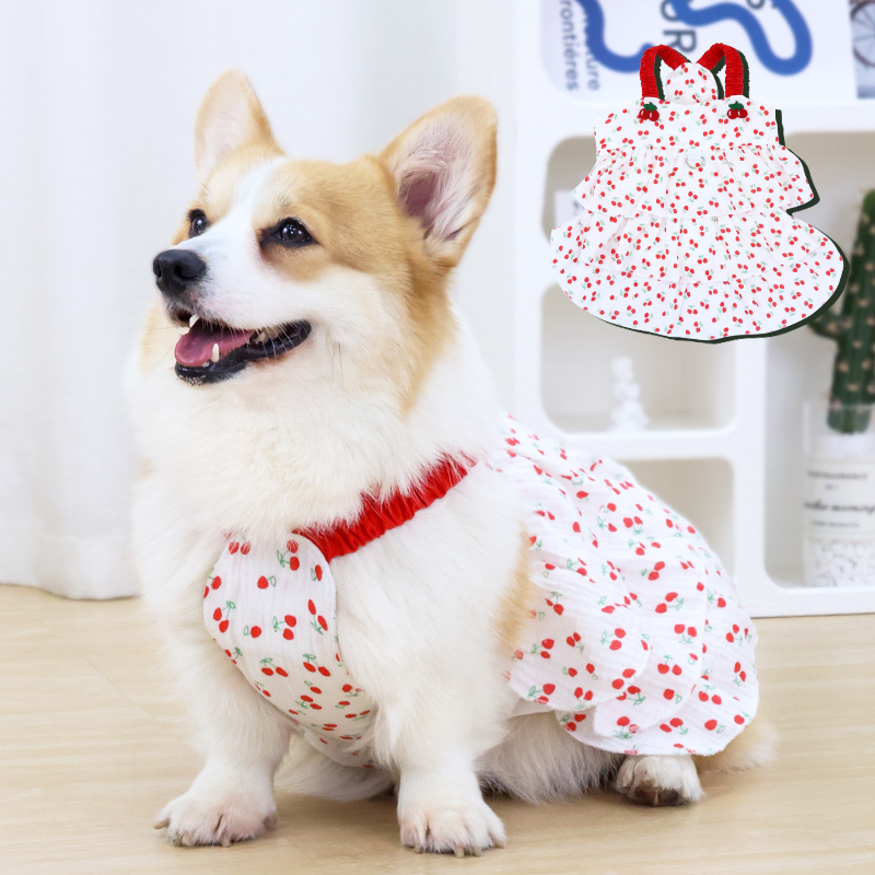 狗狗衣服春夏季薄款公主吊带裙柯基柴犬泰迪中型犬防掉毛防晒背心