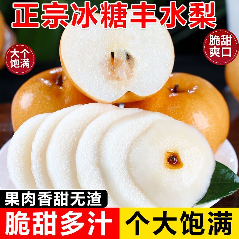 【冰糖丰水梨】山东冰糖丰水梨脆甜多汁新鲜现摘现发当季4.5-5斤