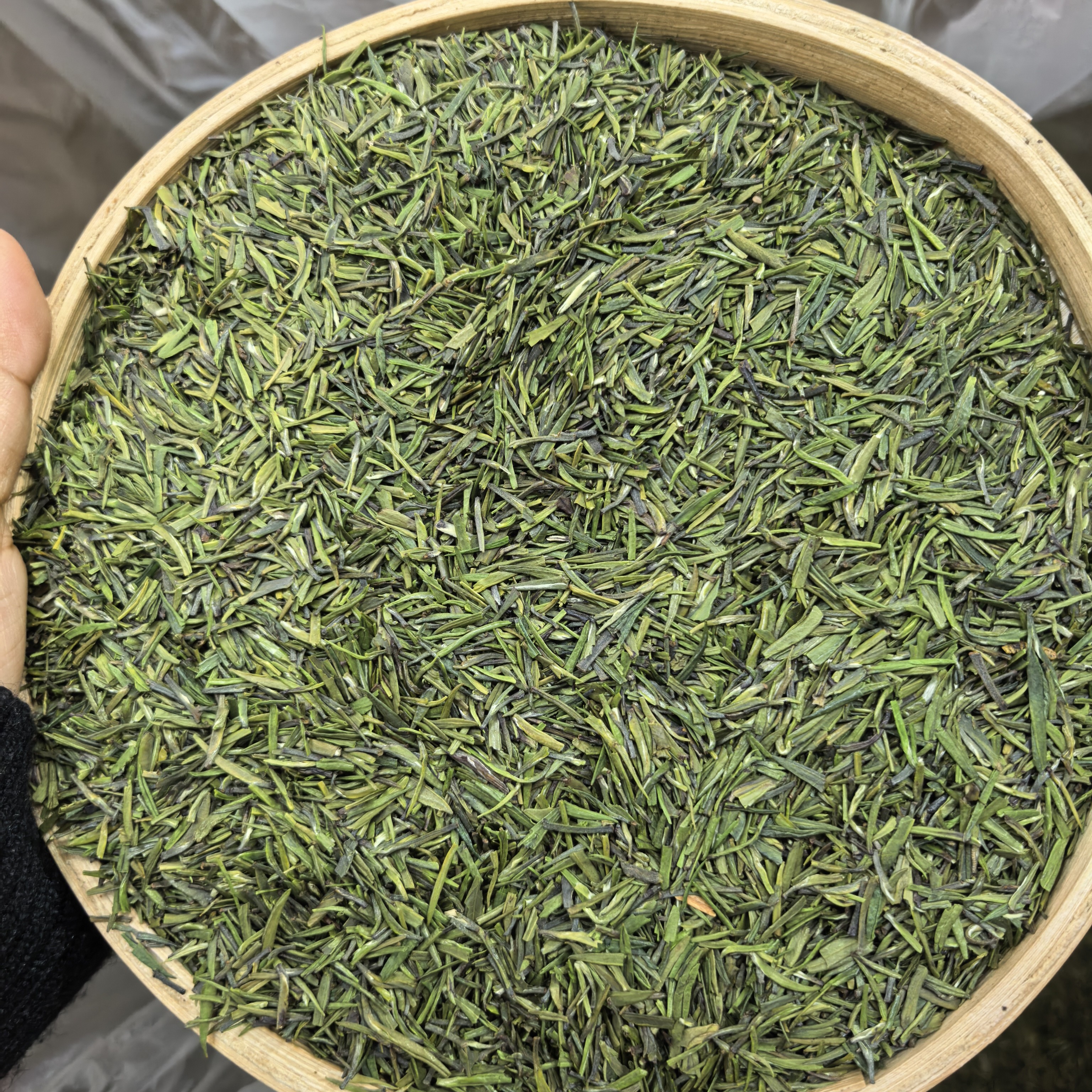 贵州绿茶2025年新茶绿茶高端雀舌茶片散茶包装