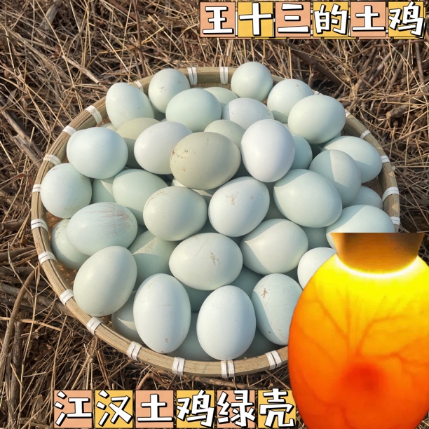 江汉土鸡 老品种土鸡 中蛋宠物鸡自然散养新鲜现发 便宜 破损包赔