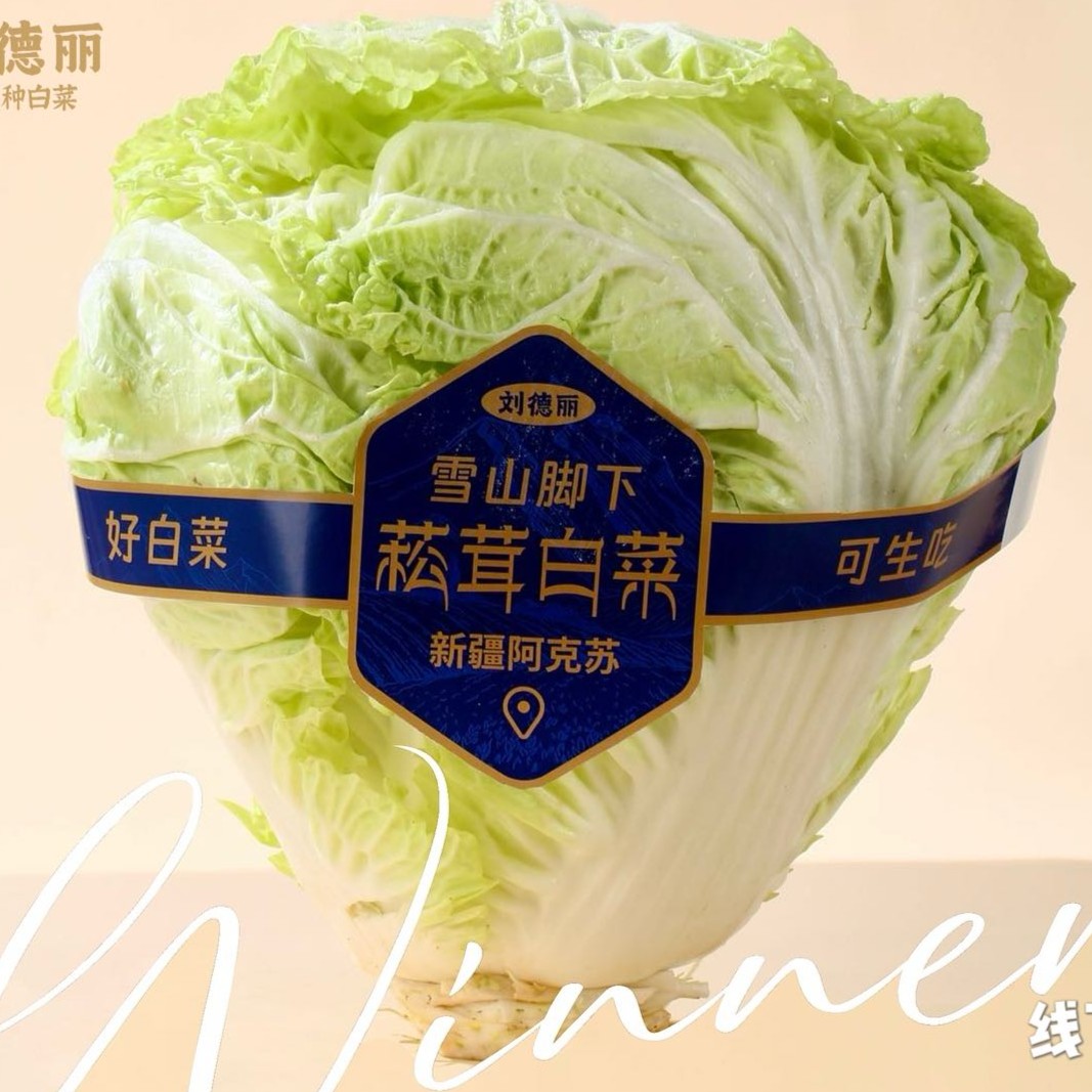 【0农残】新疆菘茸白菜雪水灌溉鲜甜欧盟SGS533项检测高品质 【空运】
