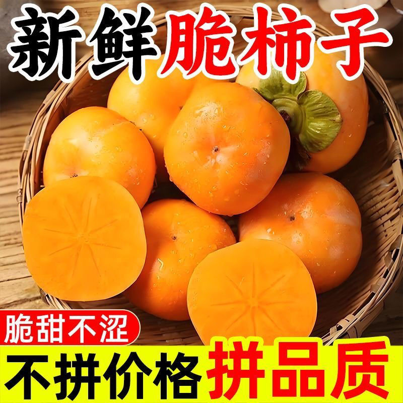 【涩口包赔】山西阳丰脆柿巧克力糖心脆柿子当季新鲜脆甜柿子