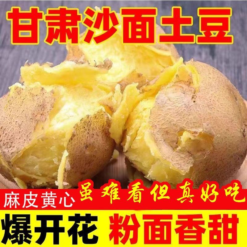 甘肃定西黄金土豆高山洋芋现挖新鲜马铃薯旱沙地面沙软糯