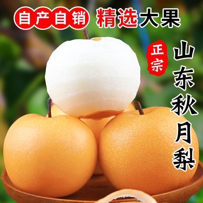 正宗山东莱阳秋月梨新鲜现发脆甜爆汁L