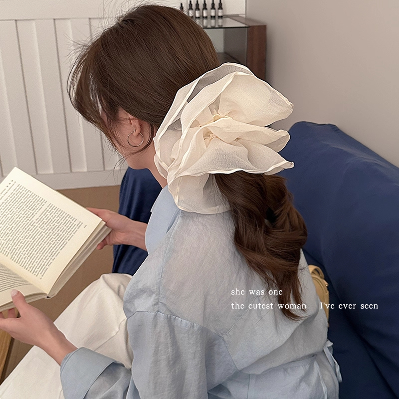 超大号花边大肠发圈2025新款气质优雅头绳发绳头花女高级感扎马尾