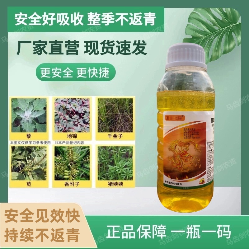 果园林荒地茶园田埂专用效果持久快速小飞蓬芦苇茅节节除草剂产品