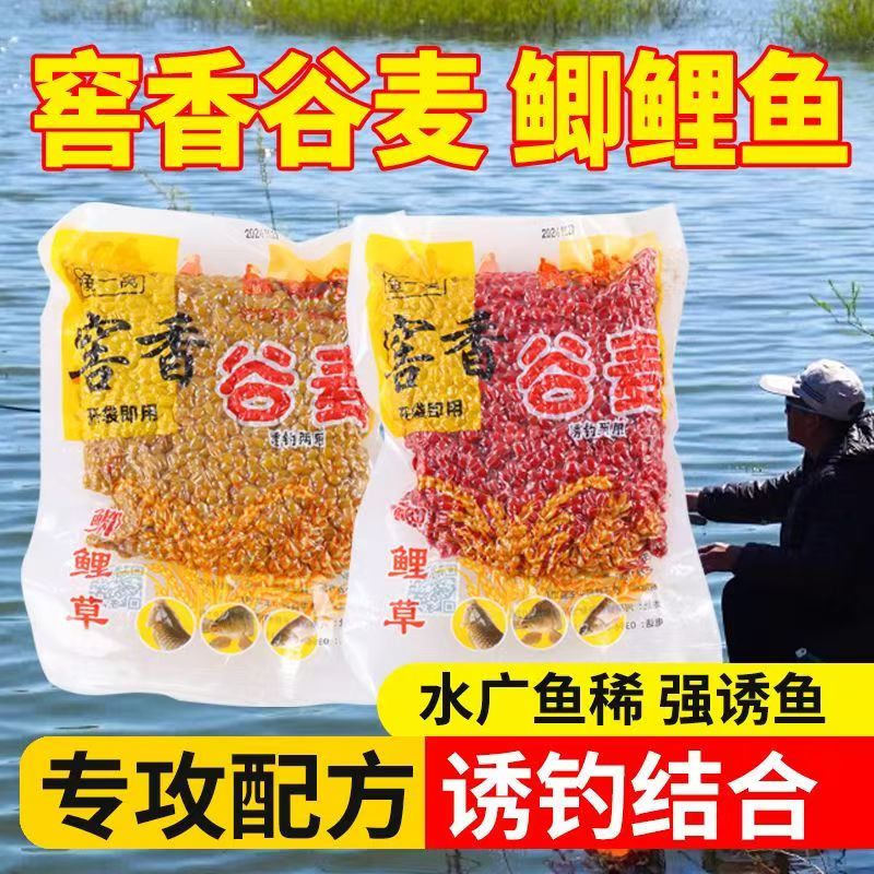老坛甜薯谷麦麝香酒米鲫鱼饵料诱鱼打窝料钓鱼野钓鲤鱼草鱼血麦