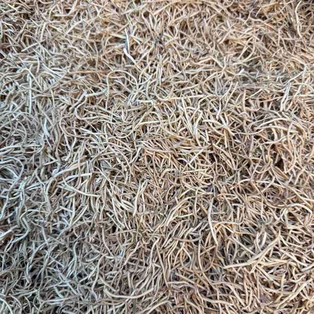 [麦冬须]麦冬须煮水煲汤都可以