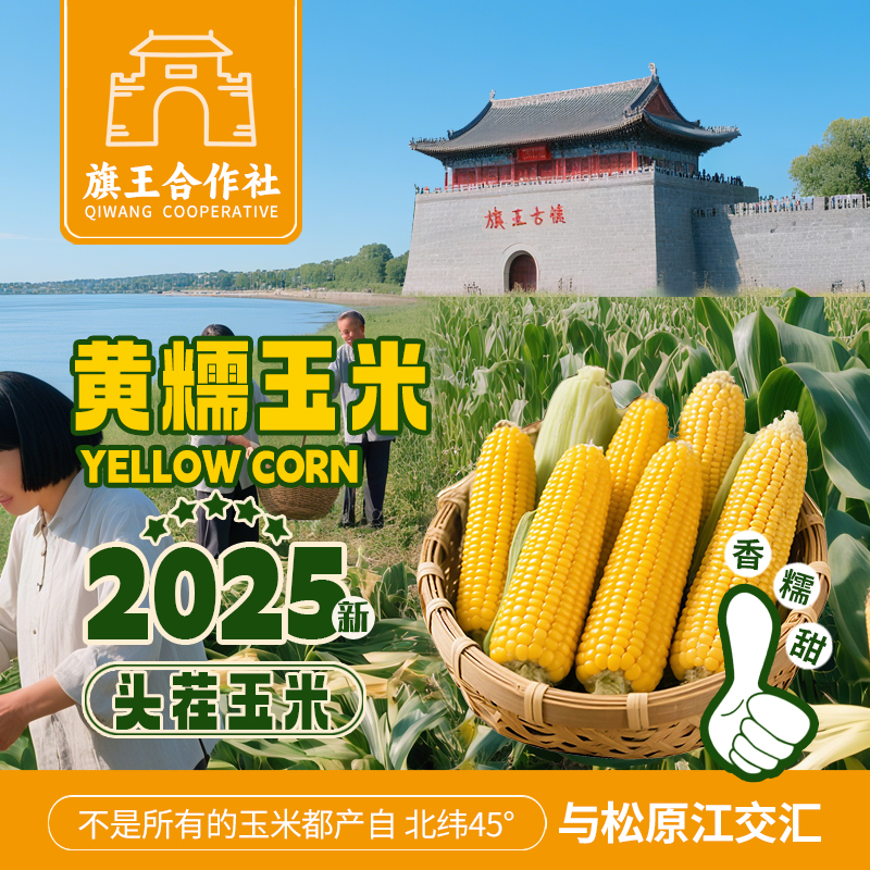 试吃两根【东北头茬黄糯玉米】独立真空包装软糯香甜*8根单根200g+