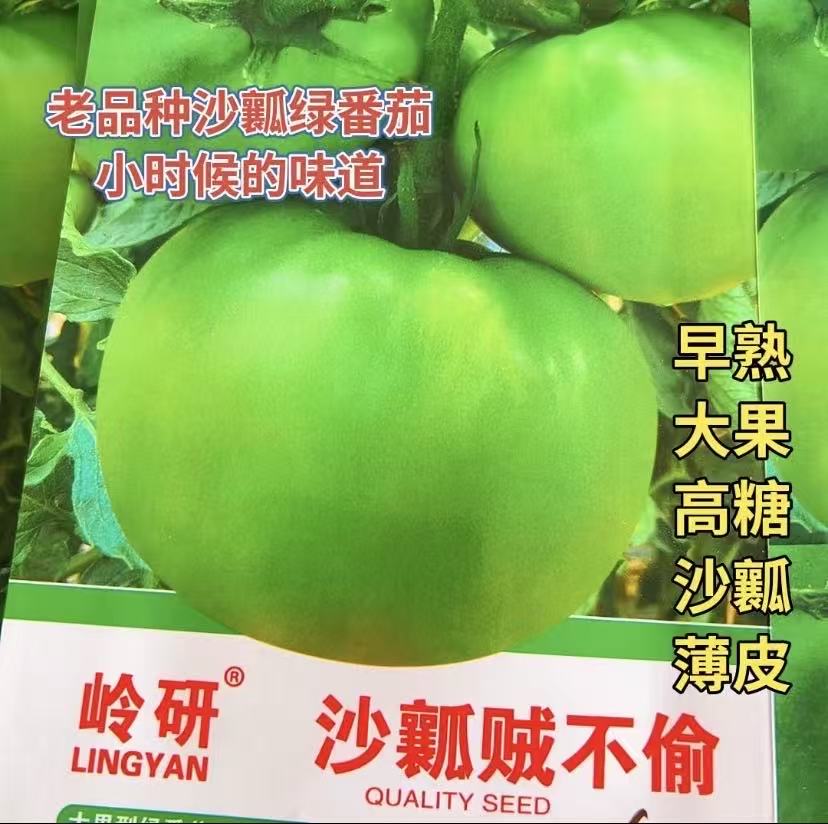 【沙瓤甜绿番茄种子】盆栽四季小西红柿蔬菜